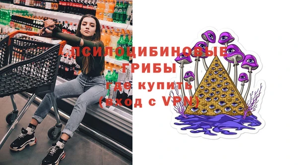 прущие грибы Абдулино