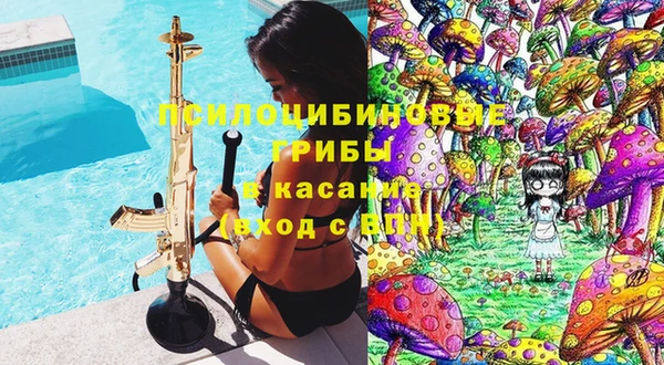 герыч Алексин