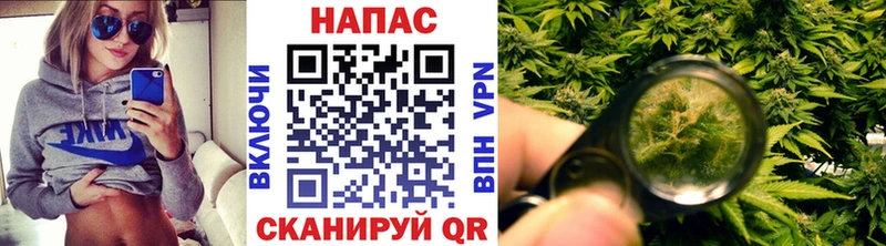 МАРИХУАНА SATIVA & INDICA  mega ТОР  Устюжна  сайты даркнета клад  наркошоп 
